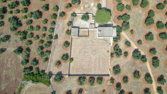 12_MASSERIA ALBERO DOLCE_puglia_raro_realty