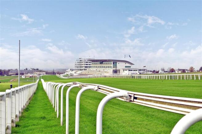 Racecourse