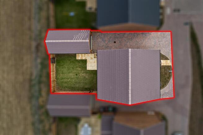 Plot22-AshWeb08.jpg