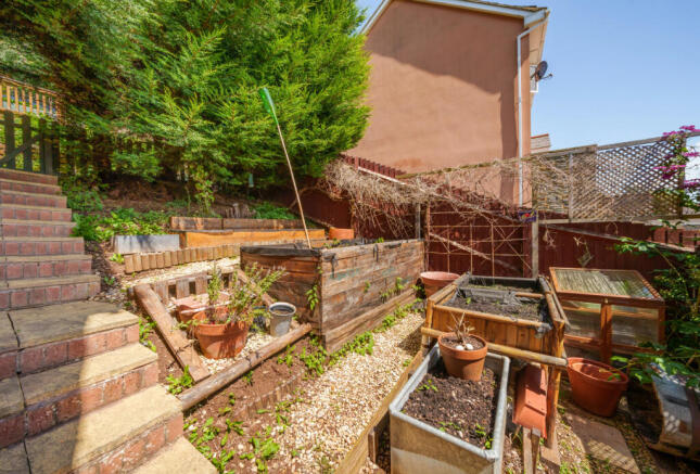 Veg Patches