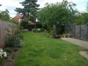 Photo 14