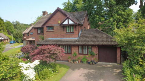 Blakeley Dene, Raby Mere