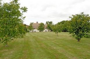 Formal Rear Garden