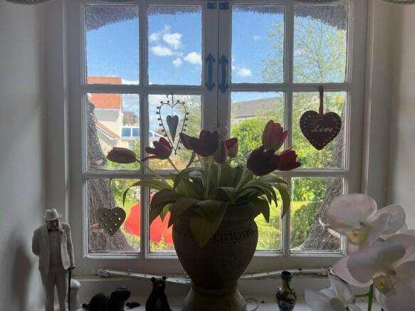 Photo 20