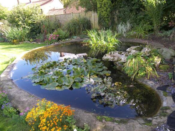 Pond