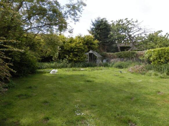 garden 1