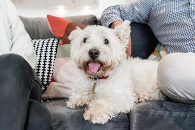 210518 Fizzyliving GOW6855