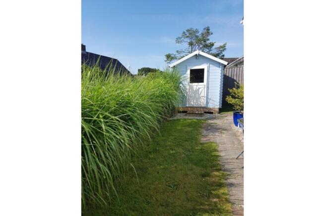 Shed