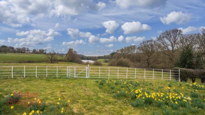 20250321-20250321-DSC07189-Edit (2).jpg