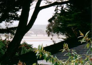 ESTUARY VIEW