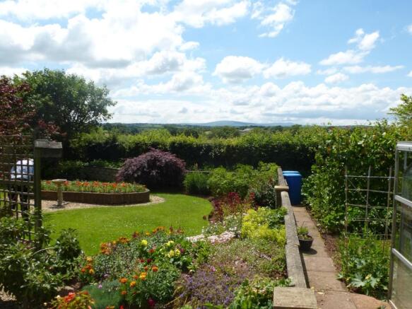 Back Garden
