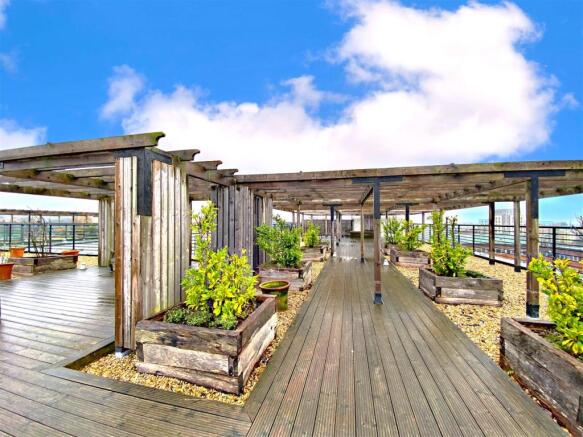Roof Terrace