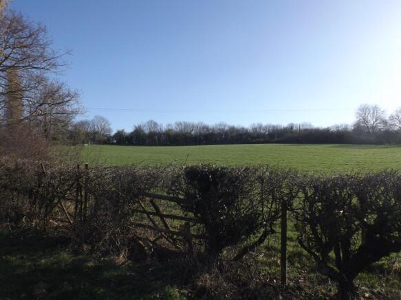 Field