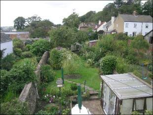View of garden