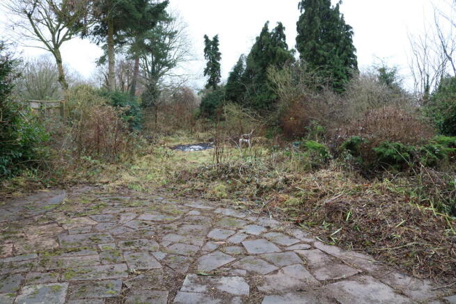 Photo 13