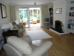 Living/dining room