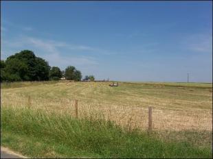 2 ACRE PADDOCK