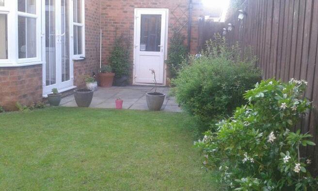 Photo 15