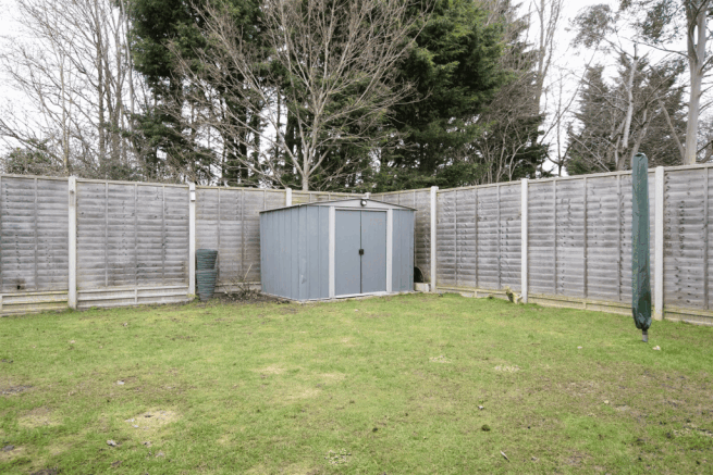 DSC_6131.gif
