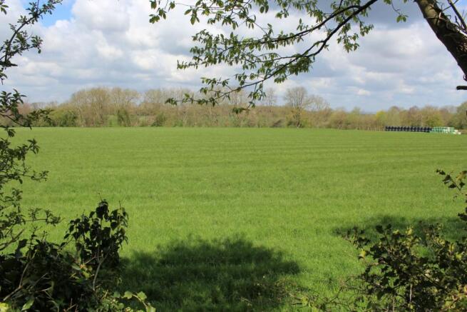 View from garden
