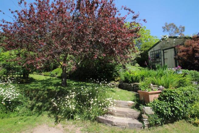 Garden 5.JPG