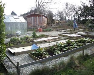 Allotment