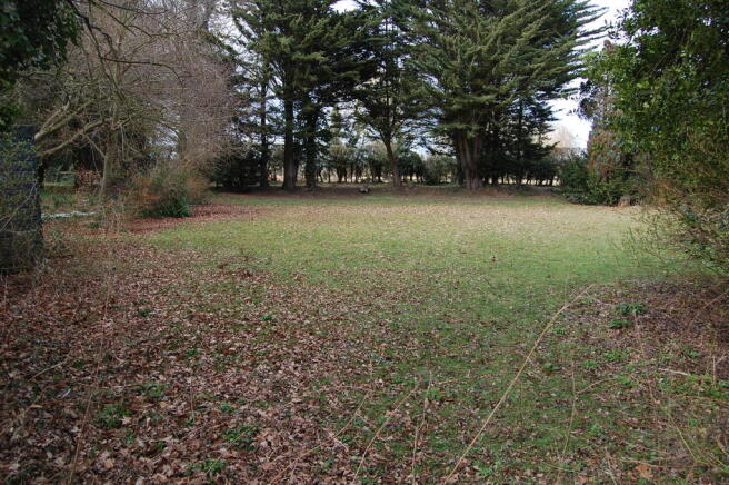 garden 3