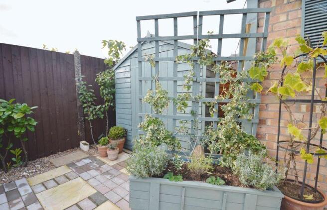 garden