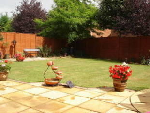 Photo 5