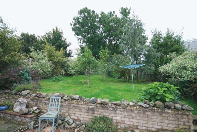 Back Garden