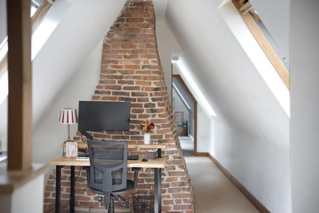 Study Area