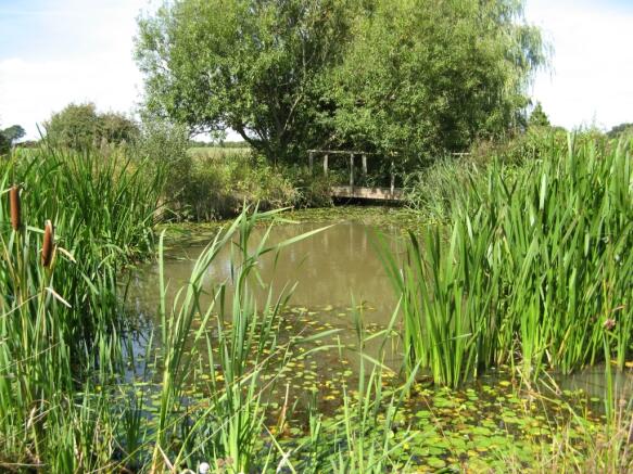 Pond