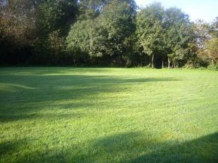 Communal Gardens