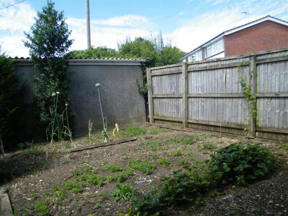 veg plot.JPG