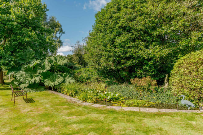 Pond and Seating