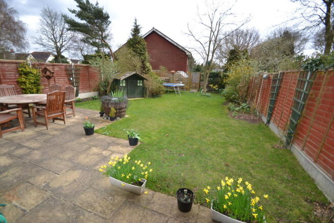 Photo 11