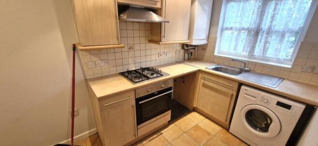 20260216_120226_resized