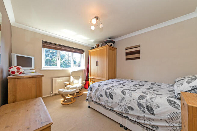 Photo 15