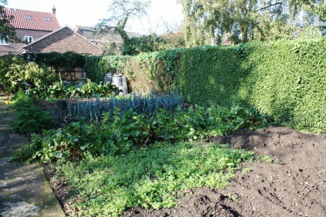 Vegetable Garden1