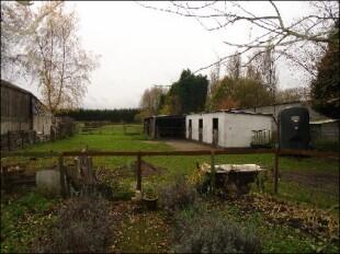 Photo 20