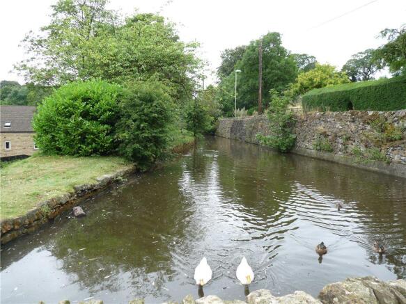 Duck Pond
