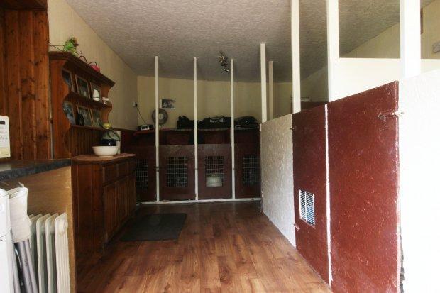 Kitchen/Utility