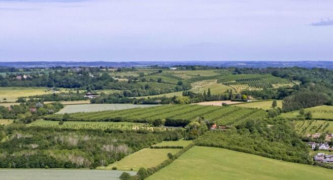 Lot 2 - Orchard.jpg