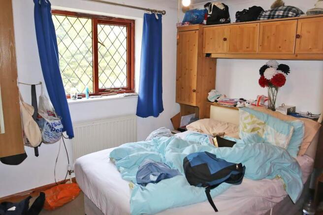 IMAGE 5