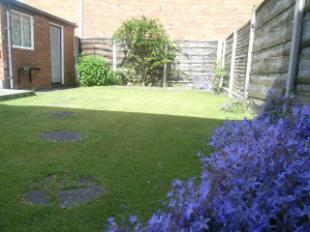 Rear Garden Pic 2