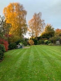 Rear Garden Autumn '21