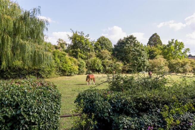 VIEW FROM FRONT DOOR