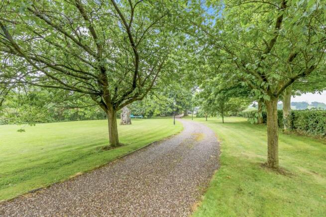 Driveway