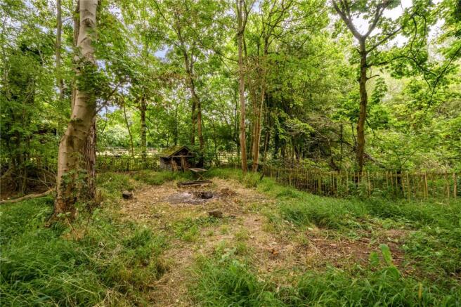 Woodland