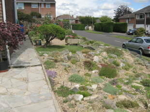Side Plot